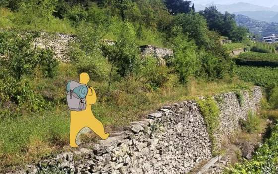 Événement des Sentiers des savoirs à Sion: le Vivant dans la ville