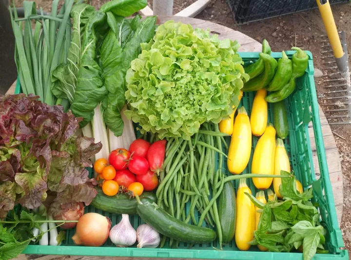 Modalités de vente de nos produits