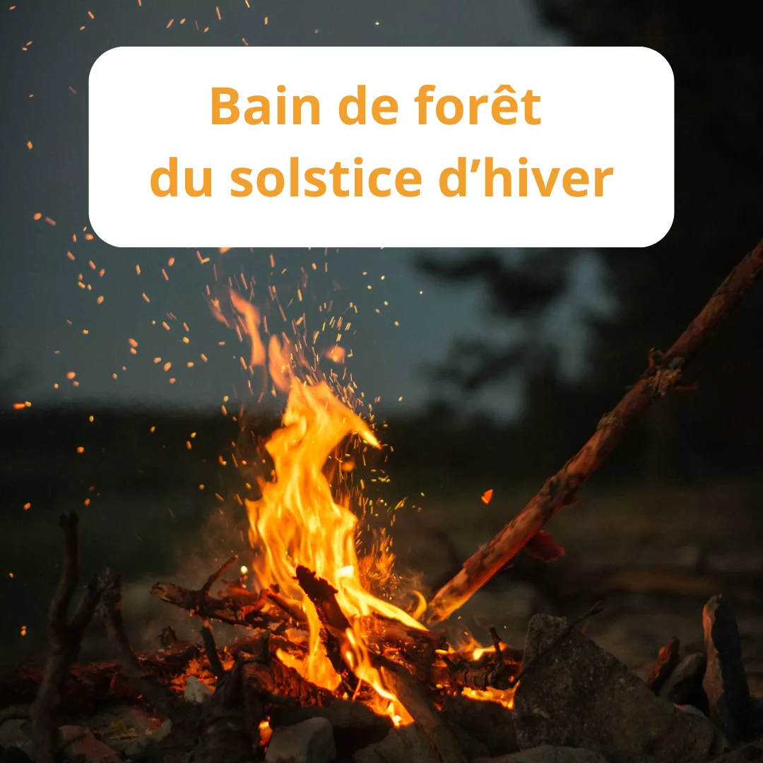 Bain de for&ecirc;t du solstice d'hiver.png