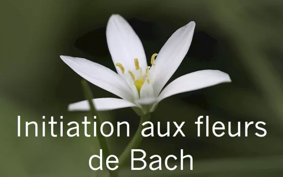 Les fleurs du Dr Bach, introduction