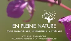 &Eacute;cole en pleine nature accompagnement &agrave; la transformation int&eacute;rieure