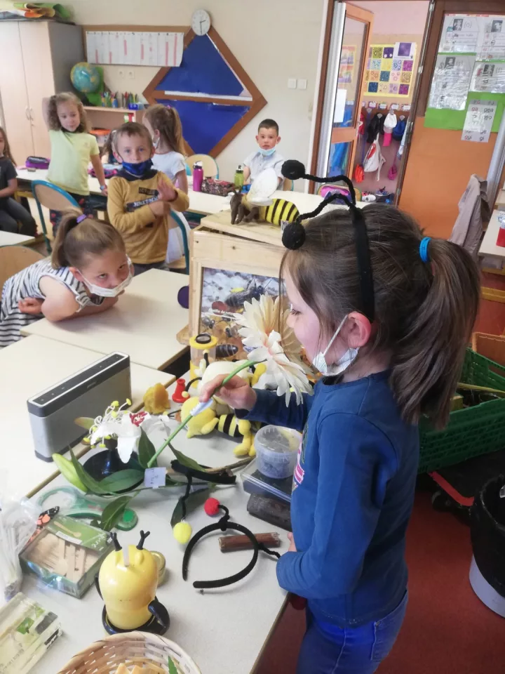 Découverte des abeilles en classe