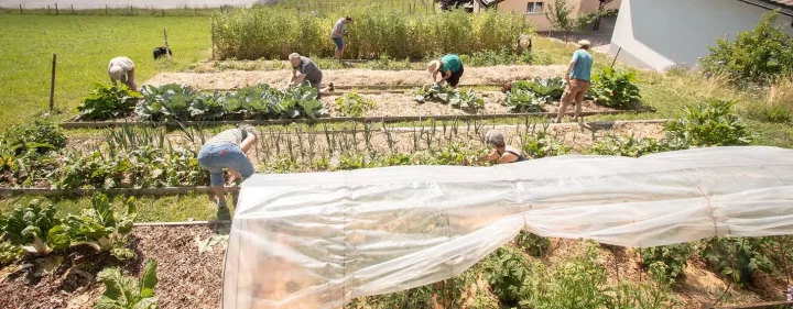 Permaculture