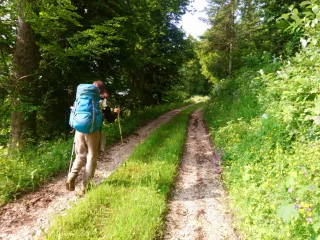 Marche sur les Sentiers des savoirs