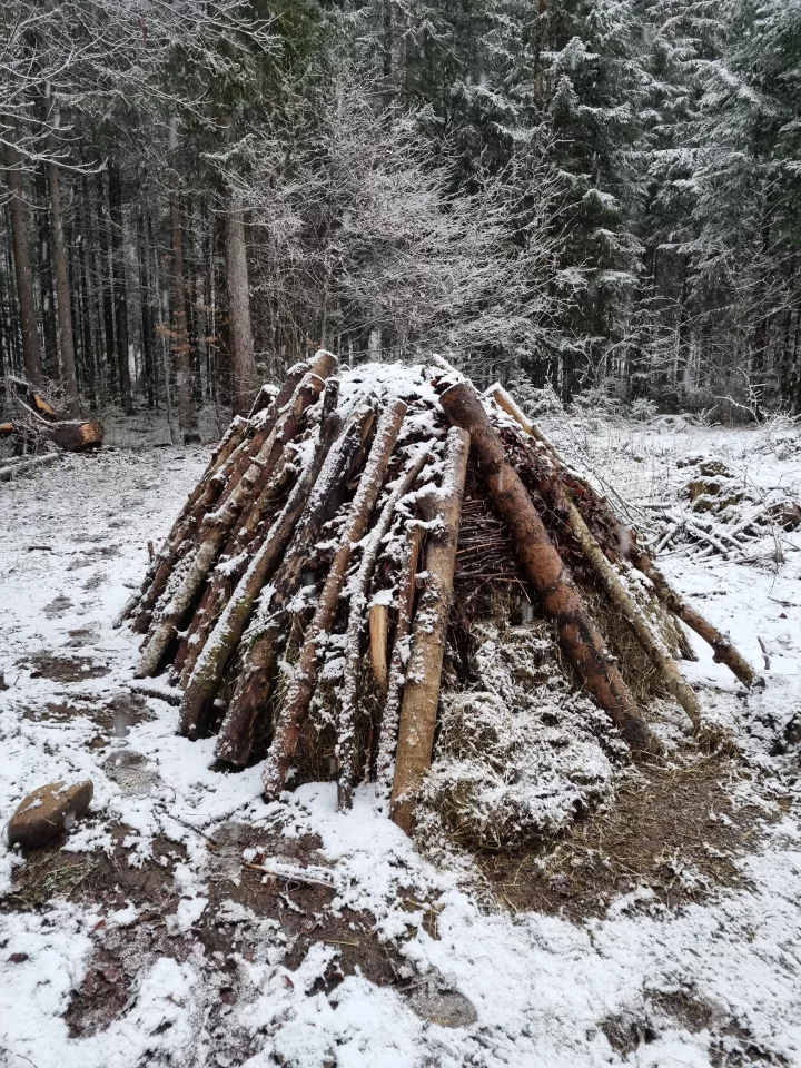 Stage de survie 4 jours et 3 nuits en pleine nature