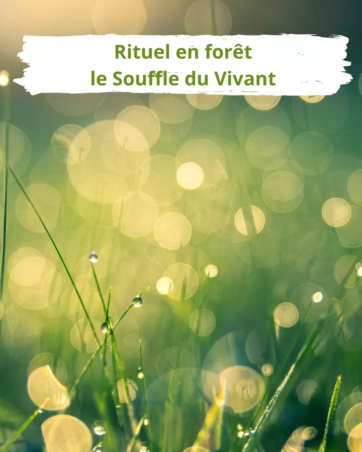 Le Souffle du Vivant - un rituel en forêt