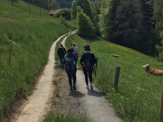 en route vers les plantes