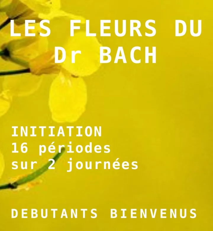 Introduction aux fleurs de Bach