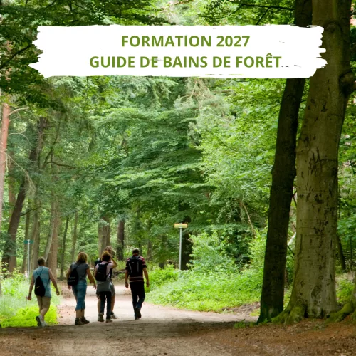 Formation 2027 de guide de bains de for&ecirc;t.png
