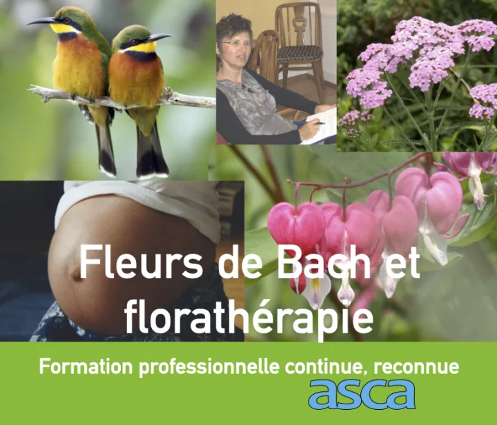 Formation continue :  approfondissement en fleurs de Bach et élixirs floraux