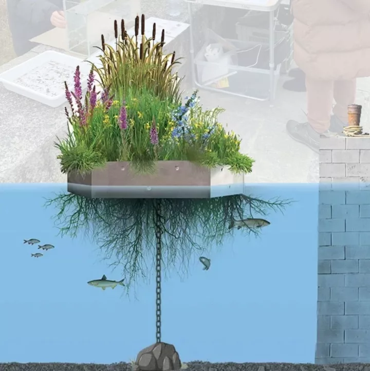 Vente et installation de radeau végétalisé (écosystème flottant)
