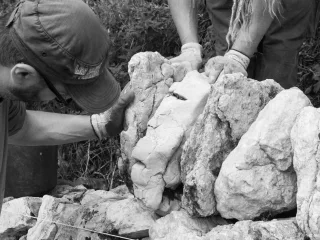 Tranmission autour de la construction de murs en pierre sèche