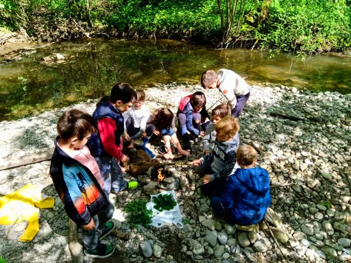 Anniversaire : les aventuriers/aventurières de la forêt