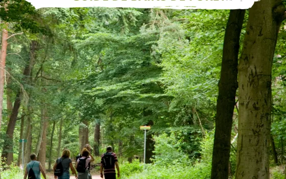 La 1ère formation de guide de bains de forêt en Suisse romande
