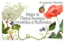 Logo Marmy Plantes