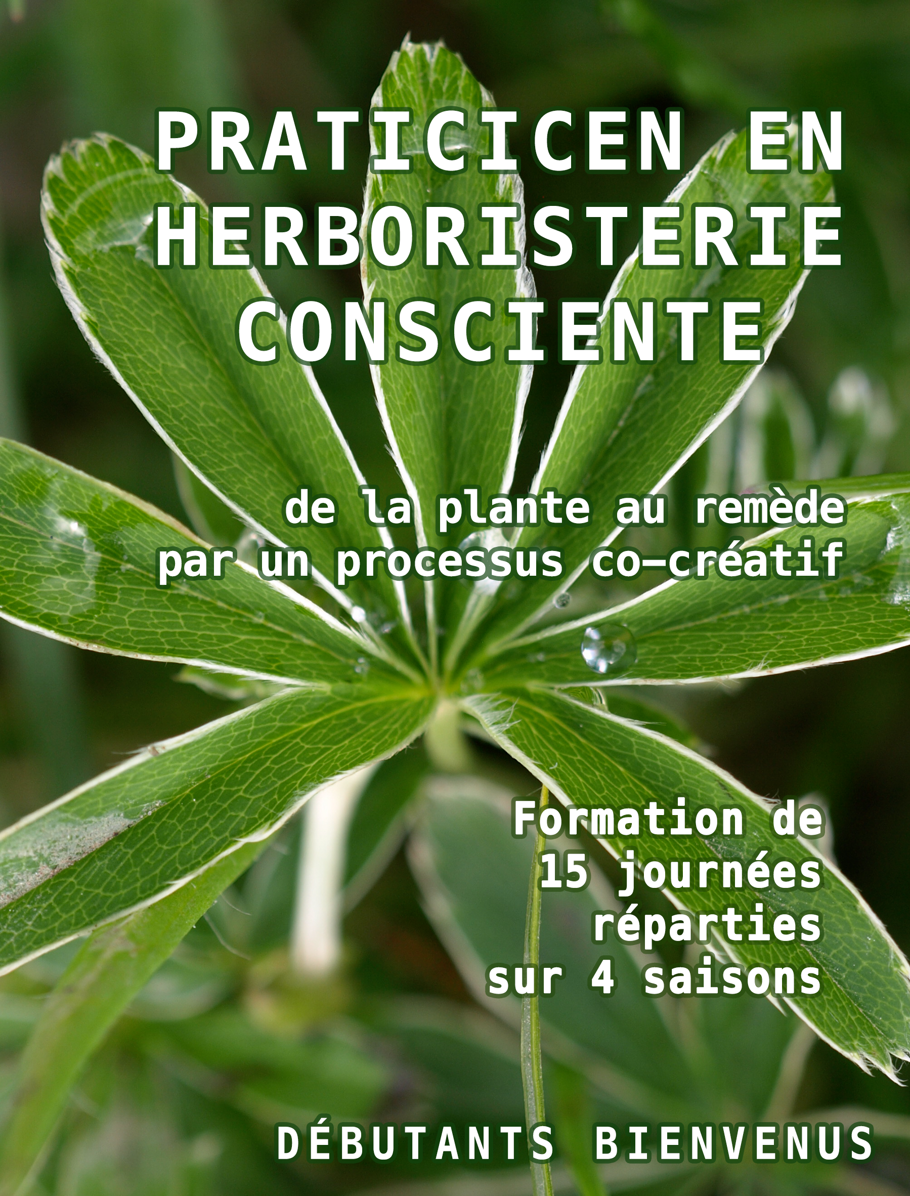 Praticien en herboristerie consciente