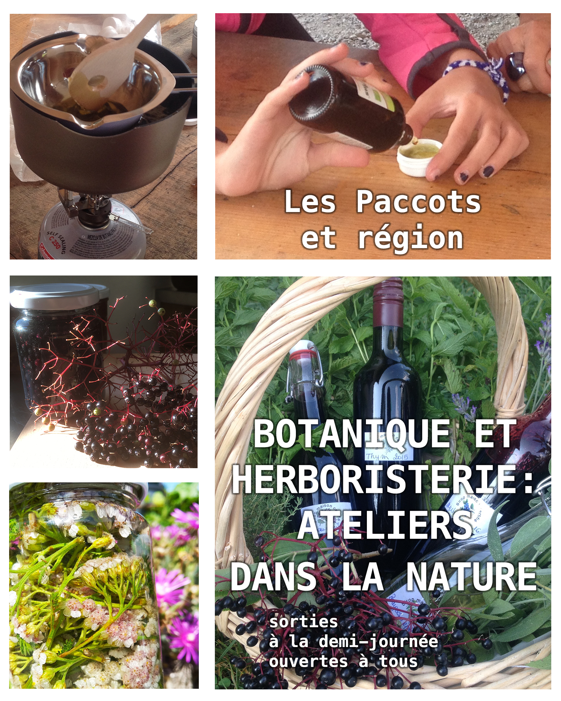 Ateliers de botanique et d’herboristerie