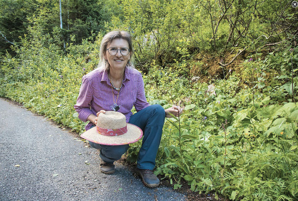 Isabelle Seghin