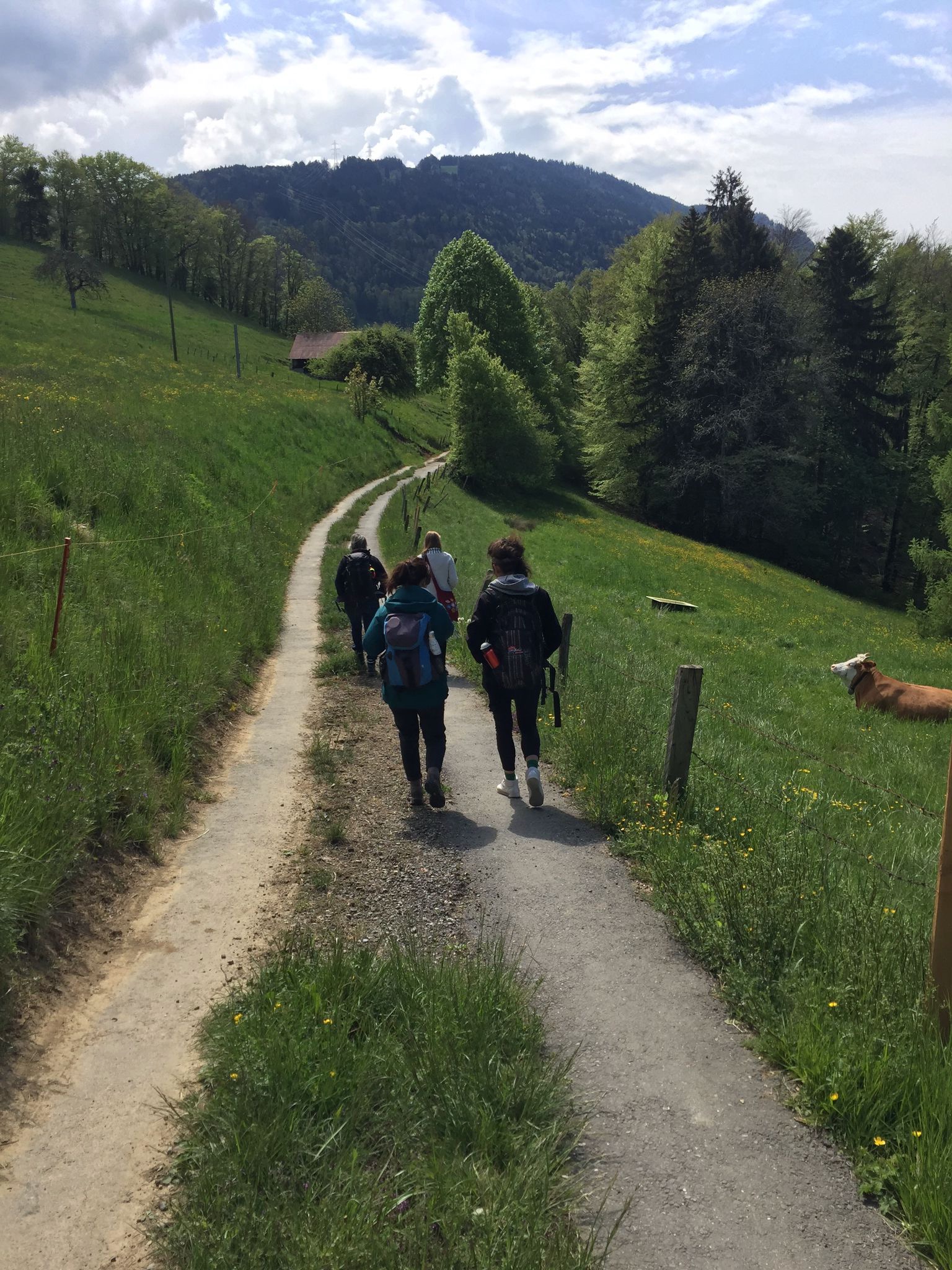 en route vers les plantes