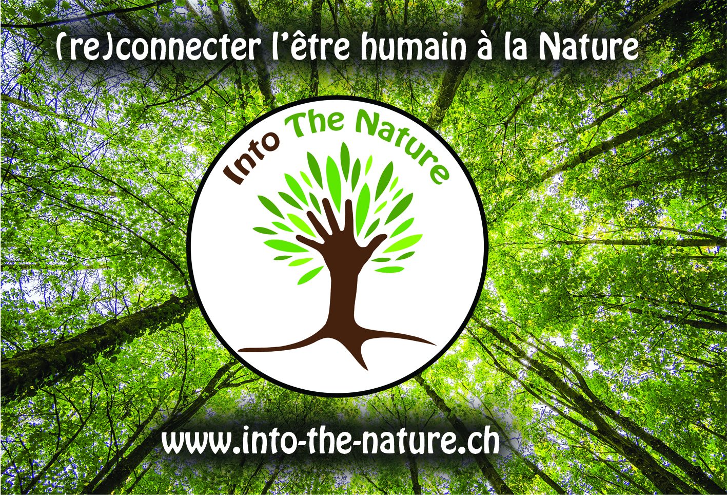 Logo Into The Nature