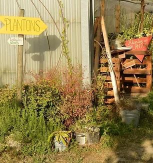 Pépinière - reproduction de plantes