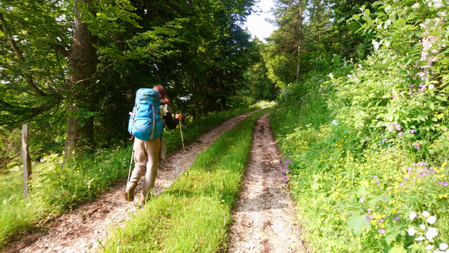 Marche sur les Sentiers des savoirs